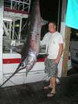 400 pound swordfish!!!