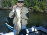 nice snook caugt on a intracoastal trip