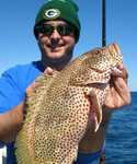 beautiful grouper